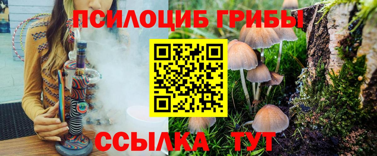 Псилоцибиновые грибы мицелий Гатчина