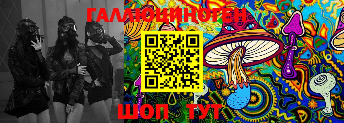Галлюциногенные грибы GOLDEN TEACHER  Галлюциногенные грибы Cubensis  Гатчина  Вход с VPN 